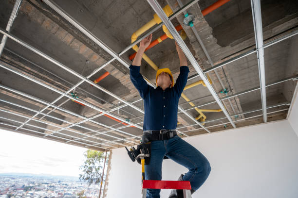 Best Local Plumber Services  in Henderson, KY
